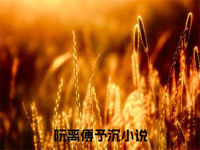 热度超高阮离傅予沉小说-小说完整版全文资源阅读