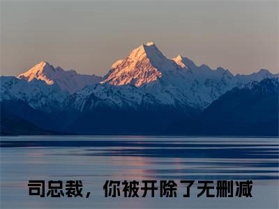 司总裁，你被开除了（司星熠楚千瓷小说）全文免费阅读无弹窗大结局_司星熠楚千瓷小说最新章节列表