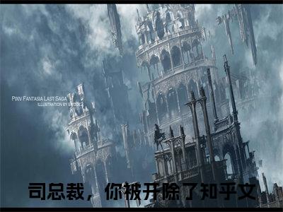 司总裁，你被开除了（司星熠楚千瓷）全文免费阅读无弹窗大结局_司星熠楚千瓷（司总裁，你被开除了无弹窗）_笔趣阁