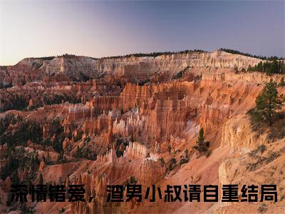 深情错爱，渣男小叔请自重（季廷煜唐知芝）全文免费阅读无弹窗_季廷煜唐知芝最新小说