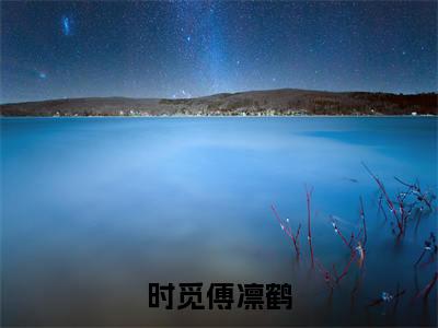时觅傅凛鹤全章节目录时觅傅凛鹤小说阅读