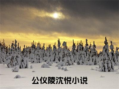公仪陵沈悦小说已完结（公仪陵沈悦）全文免费阅读无弹窗大结局_公仪陵沈悦最新章节列表（公仪陵沈悦）