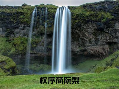 权序商阮梨小说已完结（权序商阮梨）全文免费阅读无弹窗大结局_权序商阮梨最新章节列表（权序商阮梨）