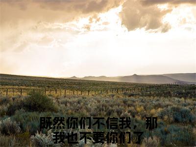 既然你们不信我，那我也不要你们了热门小说在线阅读沈妤陆停舟全网推荐（既然你们不信我，那我也不要你们了）全文