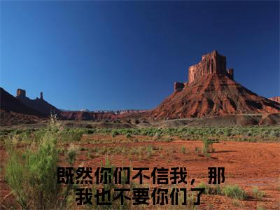 （免费）+（番外）主角是沈妤陆停舟的小说-既然你们不信我，那我也不要你们了全文无弹窗免费阅读