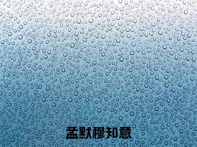 孟默穆知意（孟默穆知意）高质量小说推荐阅读-最新小说孟默穆知意全文阅读