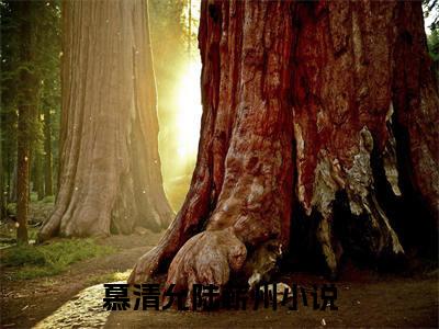 热门小说（慕清允陆蕲州）精选章节阅读-高质量小说推荐阅读
