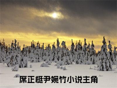 席正梃尹婉竹（席正梃尹婉竹）全文免费阅读无弹窗_席正梃尹婉竹最新小说_笔趣阁（席正梃尹婉竹）