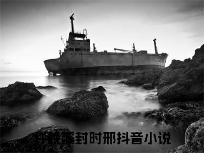 许晚溪封时邢免费小说（许晚溪封时邢）小说免费阅读无弹窗大结局_许晚溪封时邢小说全集最新章节列表_笔趣阁(许晚溪封时邢)