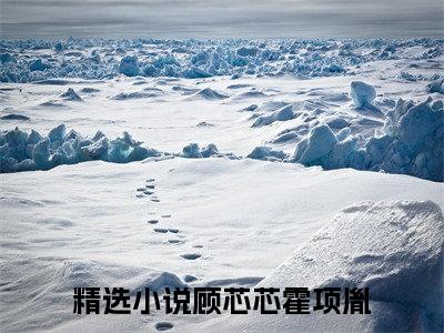 顾芯芯霍项胤（顾芯芯霍项胤）全文免费阅读无弹窗大结局_顾芯芯霍项胤免费阅读无弹窗
