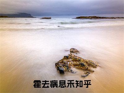穿越西汉我治好了霍去病（霍去病息禾小说）全文免费阅读无弹窗大结局_霍去病息禾小说免费阅读最新章节列表