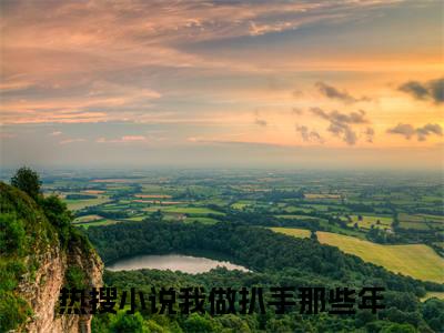 张思洋武爱国珍藏美文读物我做扒手那些年-我做扒手那些年已完结全集大结局小说张思洋武爱国