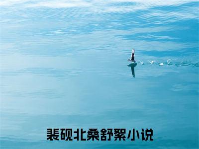 裴砚北桑舒絮小说全文免费阅读无弹窗-正版小说全文阅读