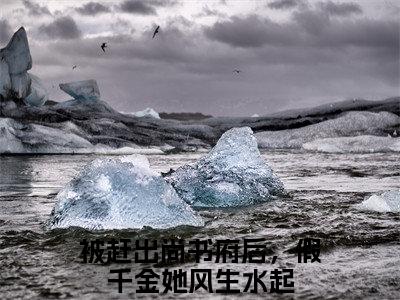 被赶出尚书府后，假千金她风生水起（顾明月）全文免费阅读_顾明月全文阅读_笔趣阁