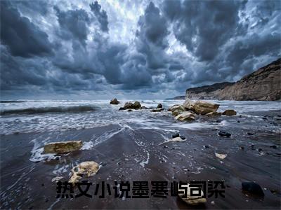 欺负老婆还想复婚，哥你想的太美了（墨寒屿司染）全文免费阅读无弹窗_（墨寒屿司染）小说最新章节列表笔趣阁