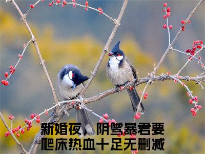 云姒谢琰小说（新婚夜，阴骘暴君要爬床热血十足全文完整版免费阅读）_云姒谢琰小说免费最新章节列表_笔趣阁