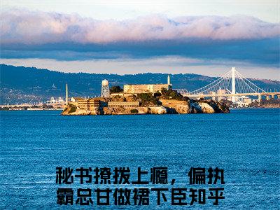 秘书撩拨上瘾，偏执霸总甘做裙下臣全文免费在线阅读_（顾霆尧温清离免费阅读无弹窗）秘书撩拨上瘾，偏执霸总甘做裙下臣全文免费完结版阅读