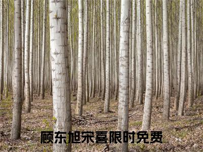 顾东旭宋喜全文免费阅读_（顾东旭宋喜免费阅读无弹窗）顾东旭宋喜最新章节在线阅读笔趣阁