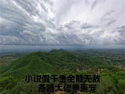 苏云晚沈京墨（假千金全能无敌，各路大佬争着宠）全文免费阅读无弹窗_（假千金全能无敌，各路大佬争着宠）苏云晚沈京墨最新章节列表