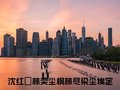 沈红葉林奕尘（枫林尽染尘埃定小说）全文免费阅读无弹窗大结局_沈红葉林奕尘最新章节