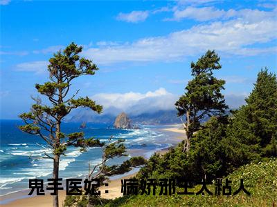 鬼手医妃：病娇邪王太粘人全文免费（云苏君长渊）全文免费阅读无弹窗大结局_（云苏君长渊全文免费鬼手医妃：病娇邪王太粘人）