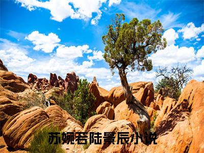 苏婉若陆景辰（苏婉若陆景辰）全文小说免费阅读-苏婉若陆景辰最新章节列表_笔趣阁