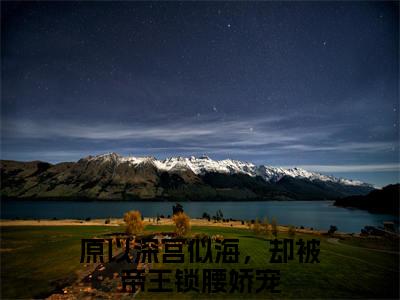 原以深宫似海，却被帝王锁腰娇宠小说在线阅读-主角叫陆芷鸢沈君樾的小说（原以深宫似海，却被帝王锁腰娇宠）完整版免费阅读全文