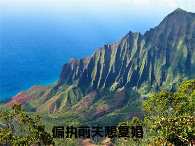 无广告小说宋文祁苏酥全文免费阅读无弹窗大结局-偏执前夫想复婚川在线阅读