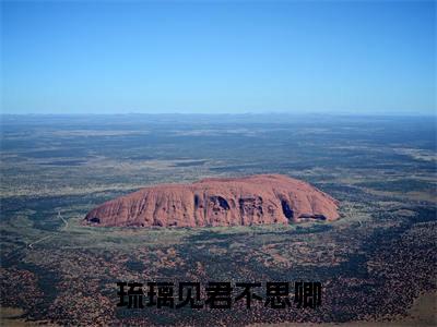 夜司丞沈琉璃琉璃见君不思卿多人追免费无弹窗小说，琉璃见君不思卿已完结全集大结局