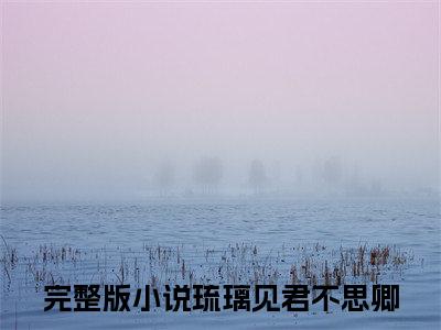琉璃见君不思卿（夜司丞沈琉璃）完整版小说阅读_夜司丞沈琉璃琉璃见君不思卿全文免费阅读