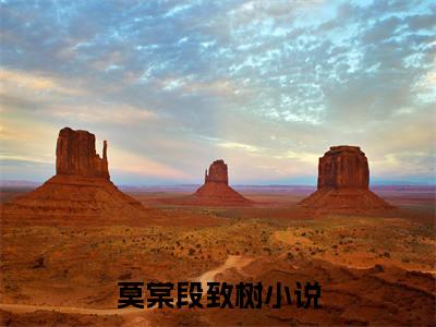 莫棠段致树(莫棠段致树小说）全文免费阅读无弹窗大结局_ 莫棠段致树小说莫棠段致树最新章节列表_笔趣阁（莫棠段致树）