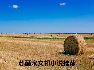 苏酥宋文祁全文免费最后一章在线阅读 苏酥宋文祁全文小说完整版