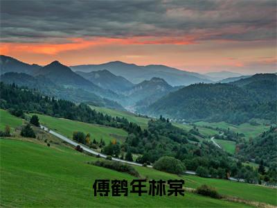 傅鹤年林棠（傅鹤年林棠）全文小说完整版-（傅鹤年林棠）傅鹤年林棠全文无删减免费阅读