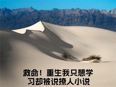 夏梦祁连（救命！重生我只想学习却被说撩人）全文免费阅读无弹窗大结局_救命！重生我只想学习却被说撩人小说在线阅读无删减