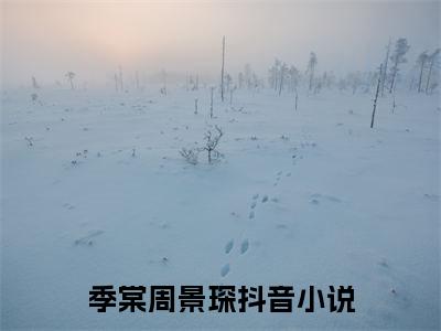百分爆评热文季棠周景琛_季棠周景琛小说无弹窗在线阅读