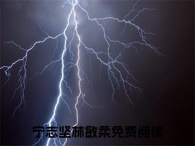 【新书】《宁志坚林敏柔》全文免费阅读无弹窗大结局-重生军婚绕指柔全文全章节免费阅读