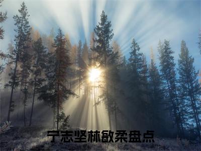 重生军婚绕指柔小说（宁志坚林敏柔）全文免费阅读结局-重生军婚绕指柔强推全文阅读无弹窗