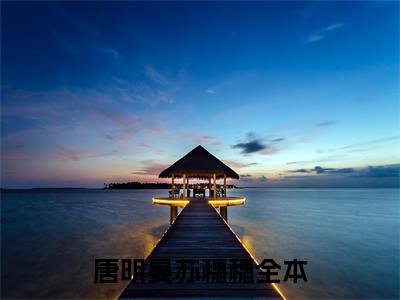 唐明晏苏穗穗（唐明晏苏穗穗）经典小说全文免费阅读无弹窗_（唐明晏苏穗穗）小说全文免费阅读最新章节_笔趣阁