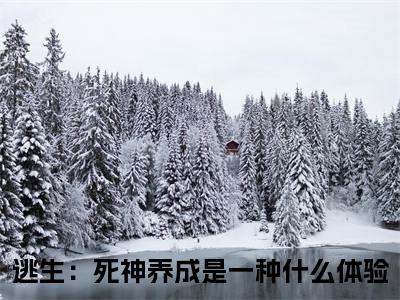 殷修黎默小说逃生：死神养成是一种什么体验大结局阅读-新上热文小说殷修黎默（逃生：死神养成是一种什么体验）讲的是什么