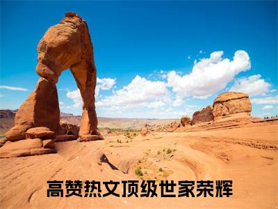 顶级世家荣辉全文最新章节正版小说免费阅读