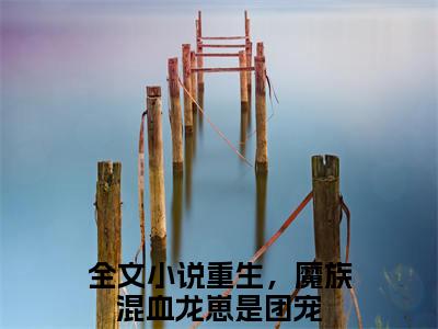 精选小说墨善安墨噬天（重生，魔族混血龙崽是团宠）全本阅读_重生，魔族混血龙崽是团宠免费阅读_笔趣阁