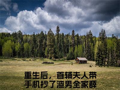 重生后，首辅夫人带手机抄了渣男全家薛萱萱（重生后，首辅夫人带手机抄了渣男全家薛萱萱）小说全文无删减-重生后，首辅夫人带手机抄了渣男全家薛萱萱小说免费阅读大结局