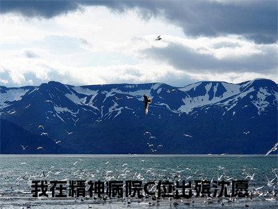 抖音热推我在精神病院C位出殡沈愿（我在精神病院C位出殡沈愿）免费小说-我在精神病院C位出殡沈愿小说完整版阅读