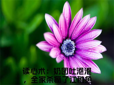 主角是读心术：奶团吐泡泡，全家杀疯了江稚鱼的小说-精选热门小说（读心术：奶团吐泡泡，全家杀疯了江稚鱼）