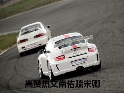 南佑疏宋卿小说（南佑疏宋卿）全文免费阅读-南佑疏宋卿全文阅读无弹窗