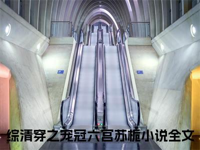 综清穿之宠冠六宫苏栀小说（已完结小说全集完整版大结局）小说全文阅读笔趣阁