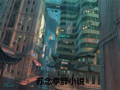 苏念季辞小说（已完结小说全集完整版大结局）小说全文阅读笔趣阁