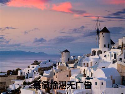 慕微徐湛（慕微徐湛）全文免费阅读无弹窗_慕微徐湛最新小说精彩推荐