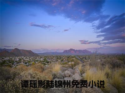 谭瑶影陆锦州（谭瑶影陆锦州）热门小说在哪免费看-谭瑶影陆锦州小说全章节阅读