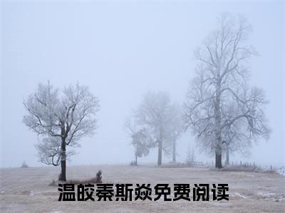 《温皎秦斯焱》全文免费阅读无弹窗大结局-温皎秦斯焱 全文全章节免费阅读
